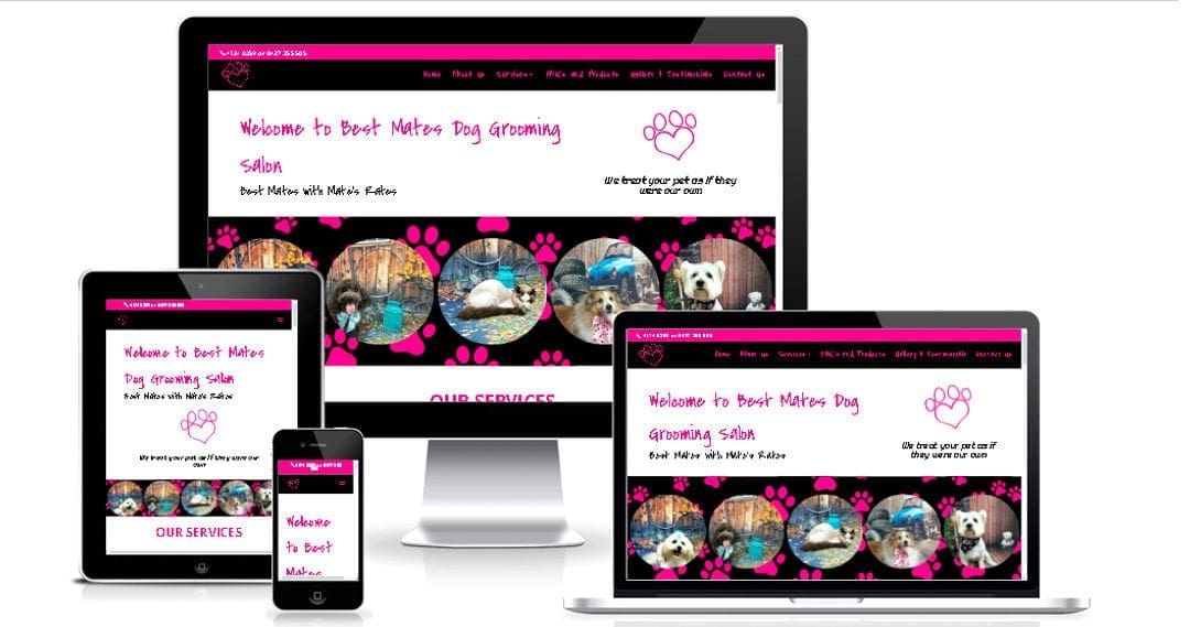 Best Mates Dog Grooming Services