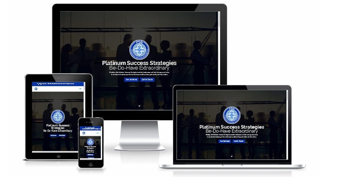 Platinum Success Strategies
