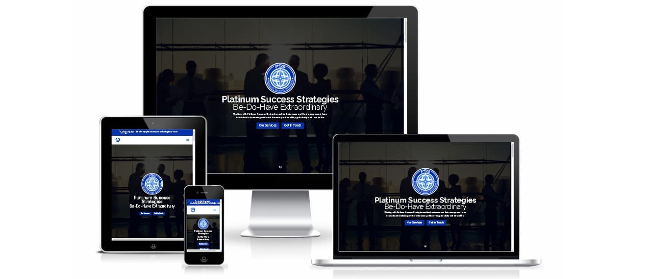 Platinum Success Strategies
