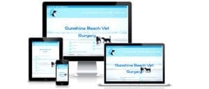 Sunshine-Beach-Vet-Screenshot-JPEG